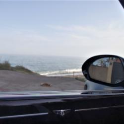 RENTAL CAR LUXURY MARBELLA